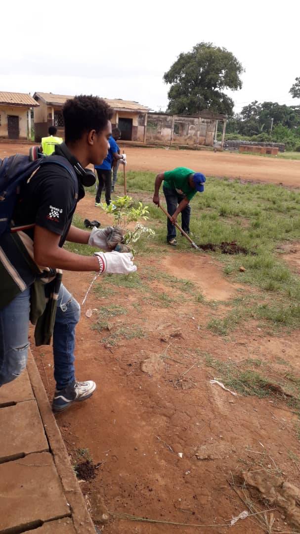 Planting des arbres à l'Ecole Publique Etoa